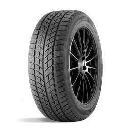 Doublestar Winterking DW09 315/35R20 106T